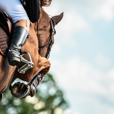 Image du sport: Équitation