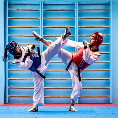 Image du sport: Taekwondo