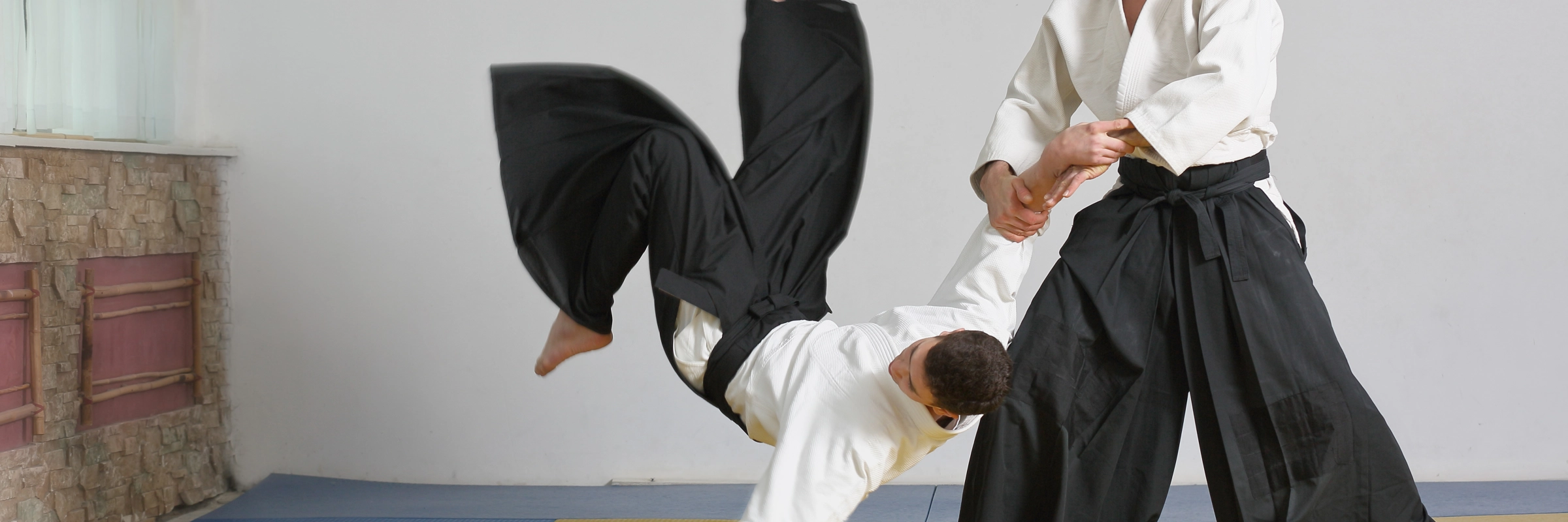 aikido image