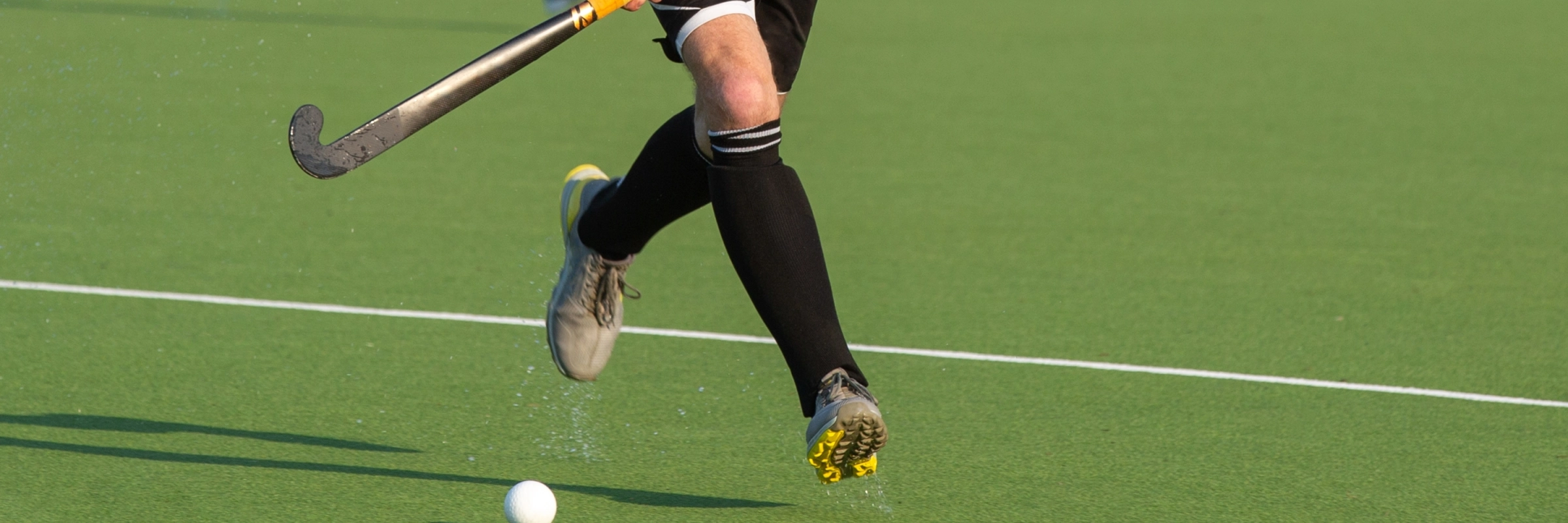 hockey image