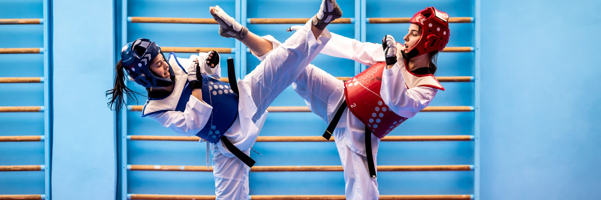 taekwondo image